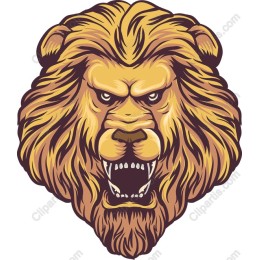 Majestic Lion Head