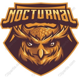 Nocturnal Owl