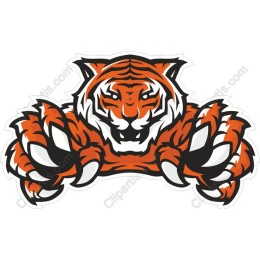 Fierce Tiger