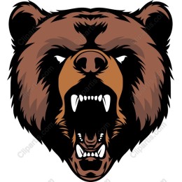 Fierce Bear Head