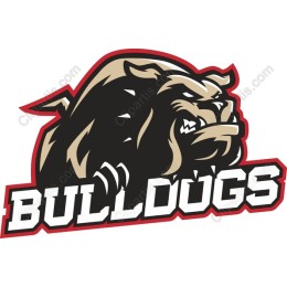 Fierce Bulldog