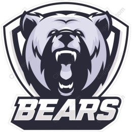 Roaring Bear