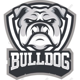 Fierce Bulldog