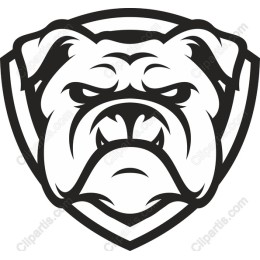 Fierce Bulldog Head