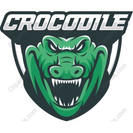 Crocodile