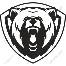 Fierce Black Bear