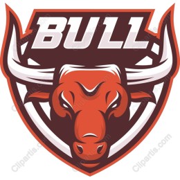 Bull