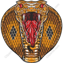 Fierce Cobra