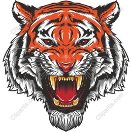 Majestic Roaring Tiger Head