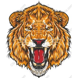 Fierce Lion Head