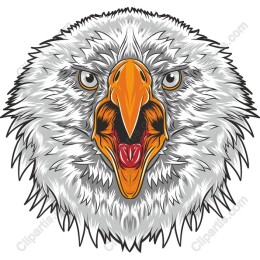 Fierce Eagle Head