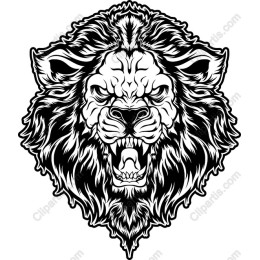 Fierce Lion Head