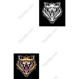 Fierce Roaring Lion and Tiger