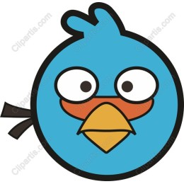 Charming Blue Bird in and
