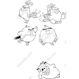 Playful Bird Collection