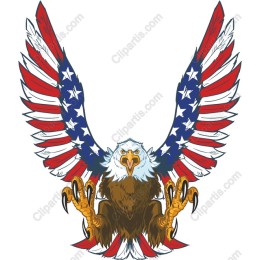 Patriotic Eagle