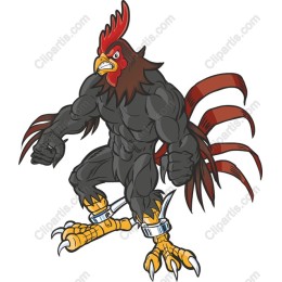 Muscular Rooster