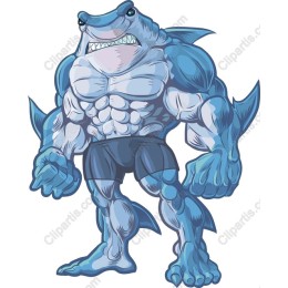Muscular Shark