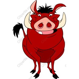 Playful Red Boar