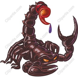 Fierce Scorpion
