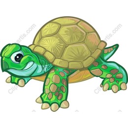 Charming Turtle