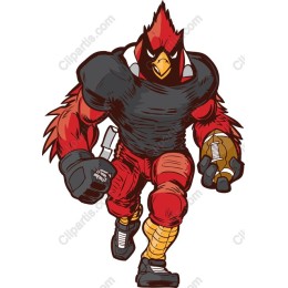 Fierce Red Bird Sports