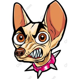 Fierce Chihuahua