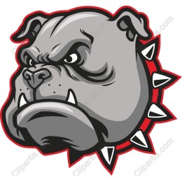 Angry Bulldog