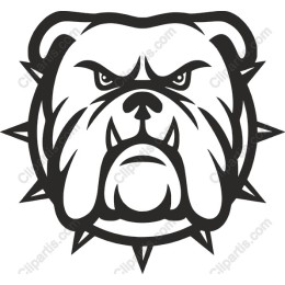 Fierce Bulldog