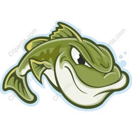 Charismatic Green Fish