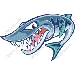 Ferocious Shark