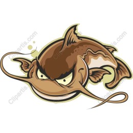 Fierce Catfish