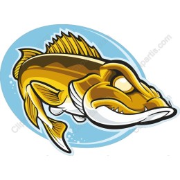 Vibrant Fish