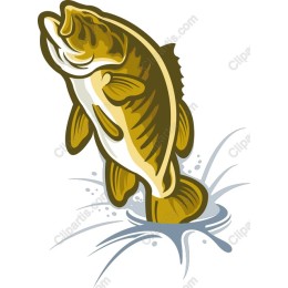 Leaping Bass Fish