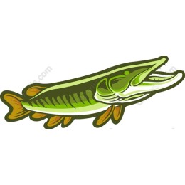 Pike