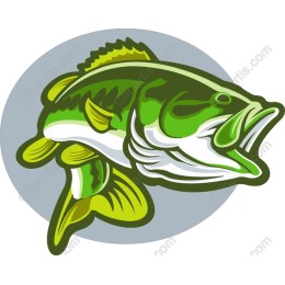 Vibrant Bass Fish