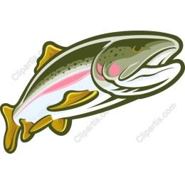 Vibrant Fish