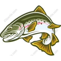 Dynamic Trout