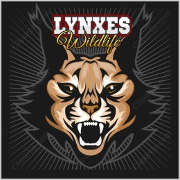 Lynx Wildlife