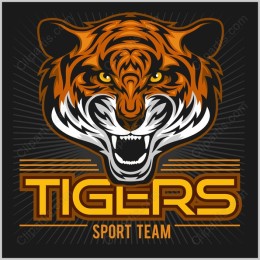 Fierce Tigers Sport Team