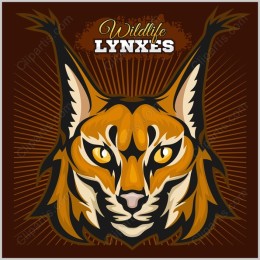 Wildlife Lynxes