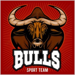 Bulls Sport Team Dynamic