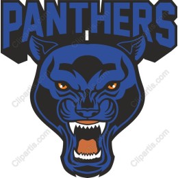 Panther Mascot