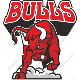 Bulls Charge