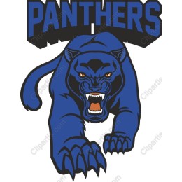 Fierce Panther