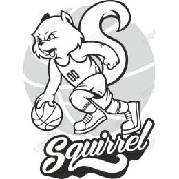 Dynamic Squirrel Basketball
