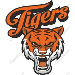 Fierce Tiger - Tigers Graphic