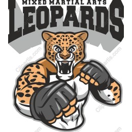 Fierce Leopard MMA