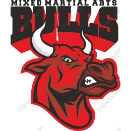Mixed Martial Arts Bulls
