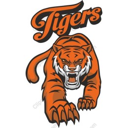 Fierce Tiger